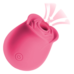 The Perfect Rose Clitoral Stimulator - Pink
