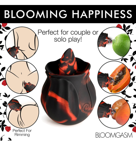 Black Kiss Rimming Rose