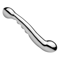 Steel Elegance Dual Dildo
