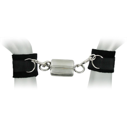 Ice Warden Self-Bondage Time Lock