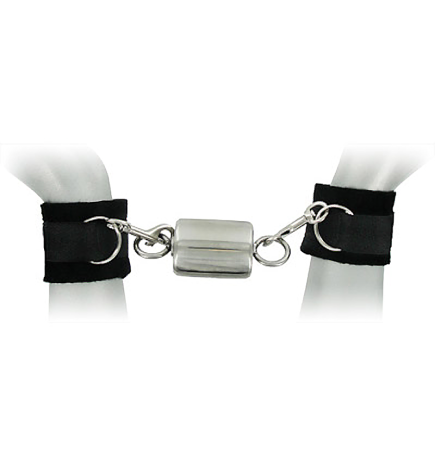 Ice Warden Self-Bondage Time Lock