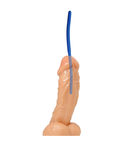 Invasion Silicone Urethral Sound Trainer Set