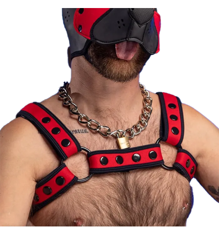 Mr. S Neo Bold Color Bulldog Harness - Red