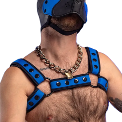 Mr. S Neo Bold Color Bulldog Harness - Cobalt