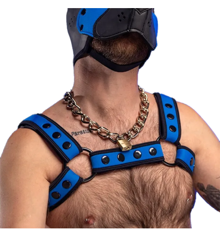 Mr. S Neo Bold Color Bulldog Harness - Cobalt