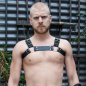 Stockroom Brusier Bulldog Harness