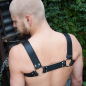 Stockroom Brusier Bulldog Harness