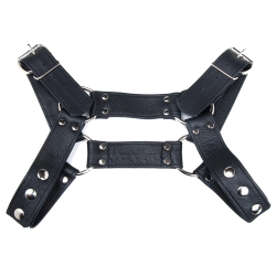 Stockroom Brusier Bulldog Harness
