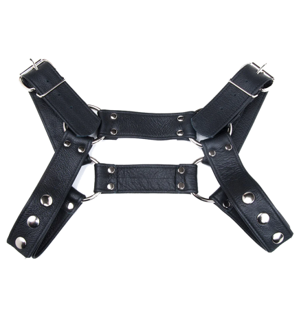 Stockroom Brusier Bulldog Harness