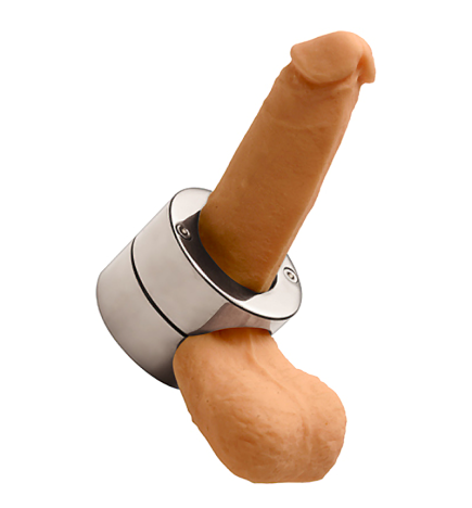 Stainless Steel Penis Trap