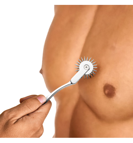 Silver Sensation Wartenberg Wheel