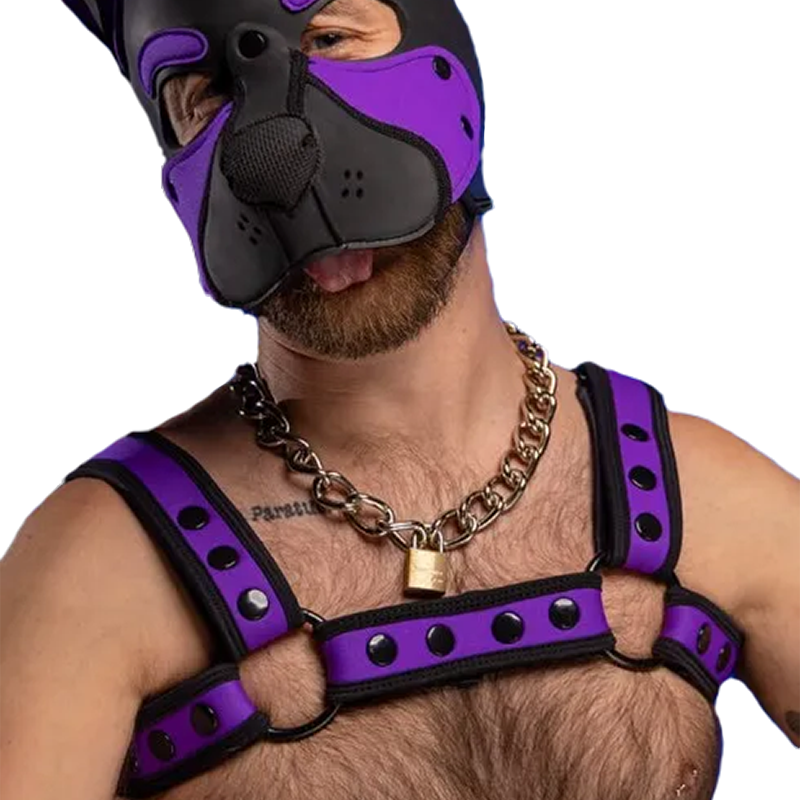 Mr. S Neo Bold Color Bulldog Harness - Purple