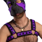 Mr. S Neo Bold Color Bulldog Harness - Purple