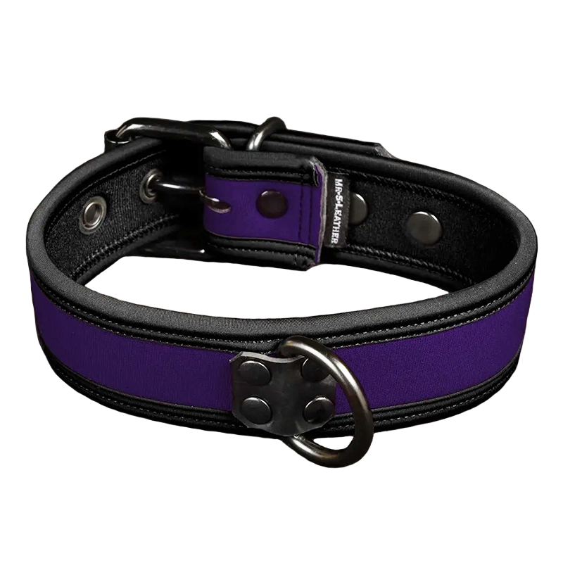 Mr. S Neo Bold Color Puppy Collar - Purple
