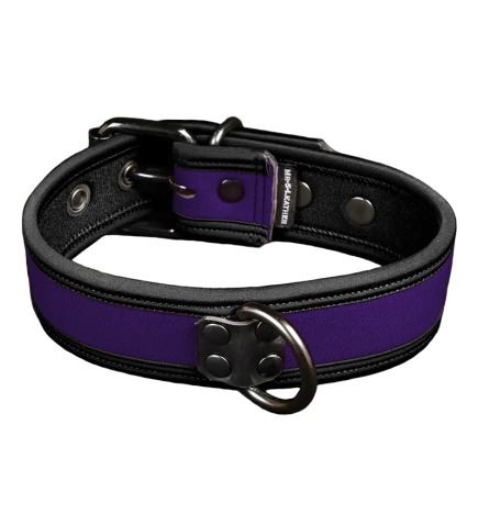 Mr. S Neo Bold Color Puppy Collar - Purple