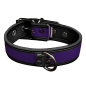 Mr. S Neo Bold Color Puppy Collar - Purple