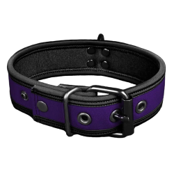 Mr. S Neo Bold Color Puppy Collar - Purple