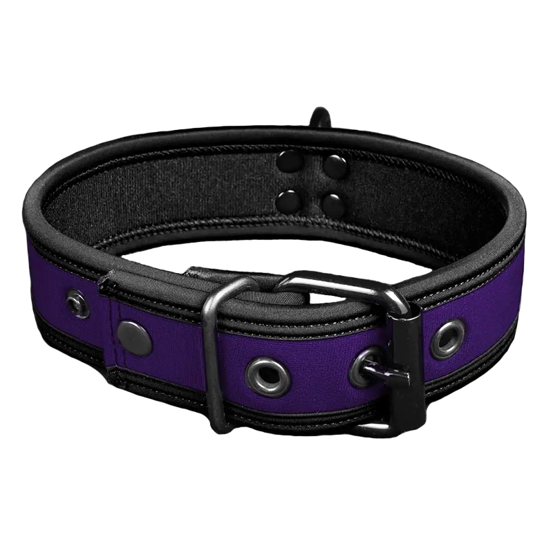 Mr. S Neo Bold Color Puppy Collar - Purple Mr. S Neo Bold Color Puppy Collar - Purple