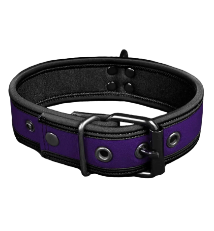 Mr. S Neo Bold Color Puppy Collar - Purple