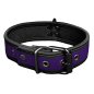 Mr. S Neo Bold Color Puppy Collar - Purple