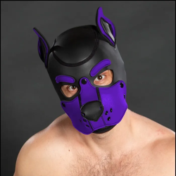 Mr. S Neoprene K9 Hood - Purple
