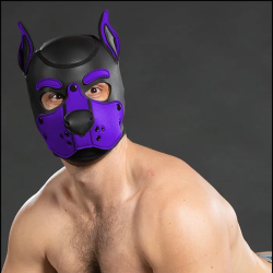 Mr. S Neoprene K9 Hood - Purple
