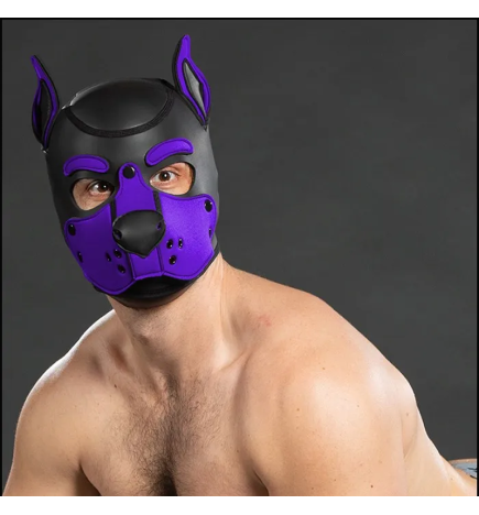 Mr. S Neoprene K9 Hood - Purple