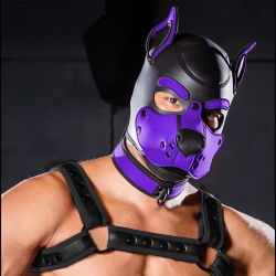 Mr. S Neoprene K9 Hood - Purple