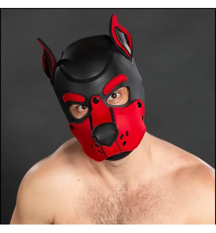 Mr. S Neoprene K9 Hood - Red