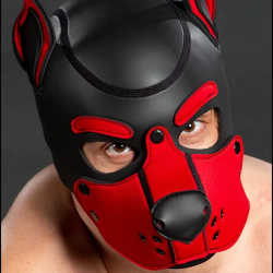 Mr. S Neoprene K9 Hood - Red