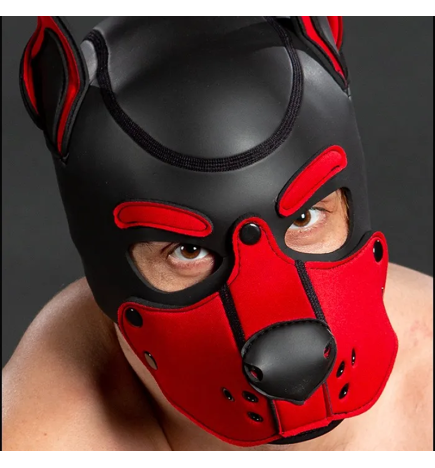 Mr. S Neoprene K9 Hood - Red