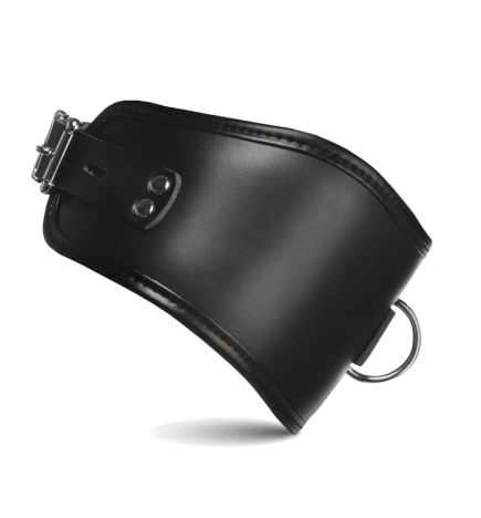 Hard Stance Padded Locking Posture Collar