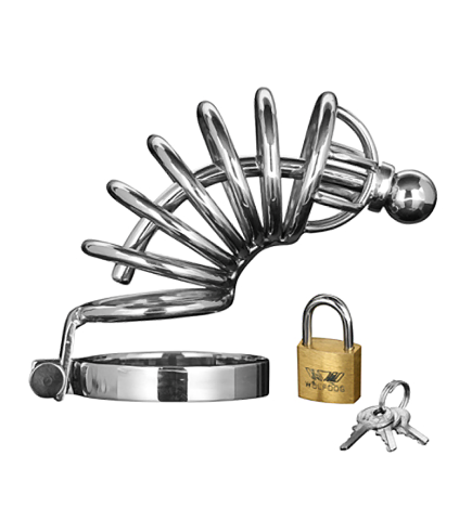 Asylum Locking Chastity Cage