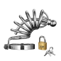 Asylum Locking Chastity Cage