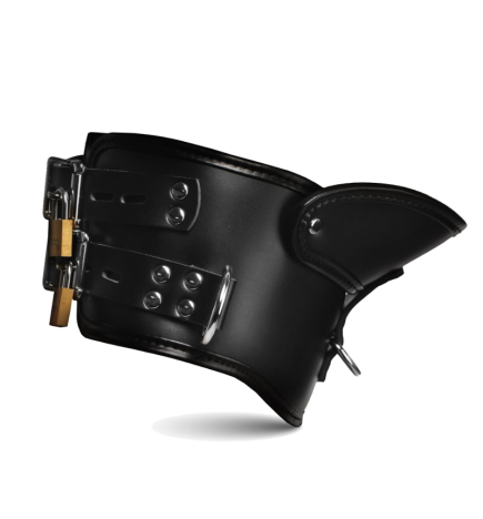 Rigid Locking Posture Collar w/ Chin Brace