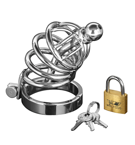 Asylum Locking Chastity Cage