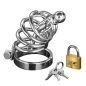 Asylum Locking Chastity Cage