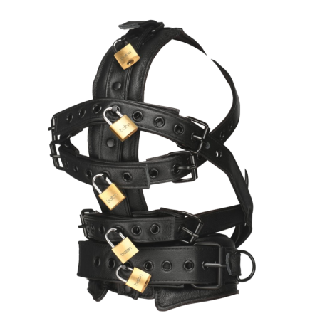 Leather Head Harness with Muzzle