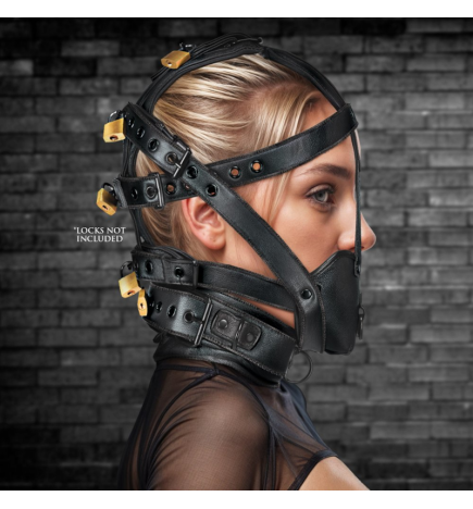 Leather Head Harness with Muzzle