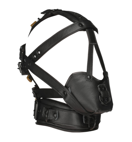 Leather Head Harness with Muzzle