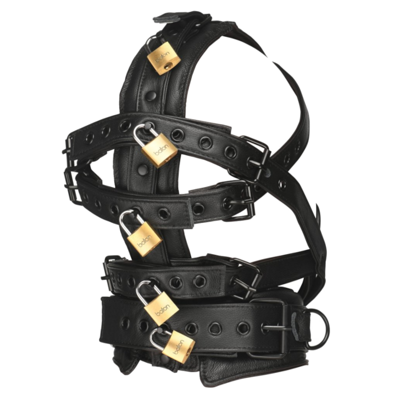 Lockable Head Harness with Muzzle