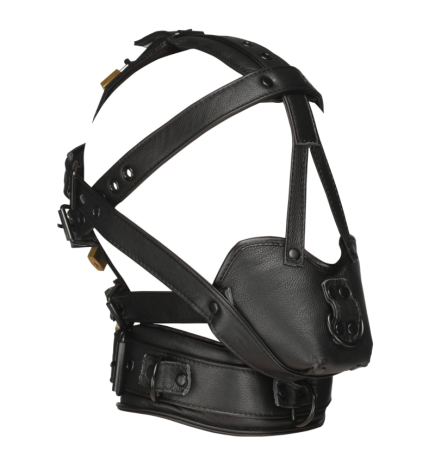 Lockable Head Harness with Muzzle