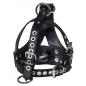 Strict Leather Bishop Head Harness with Removable Gag