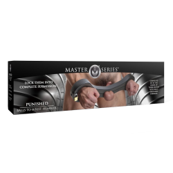 Punished Balls to Wrist Humbler