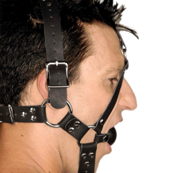 Leather Ball Gag Harness
