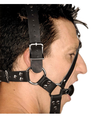 Leather Ball Gag Harness