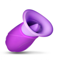 Licking Violet Sucking + Licking Vibrator