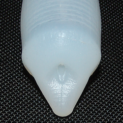 Fetish Zone "Cerberus" K9 Sheath