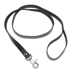 Bad Puppy Leash and Collar Set