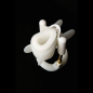 Size Matters Deluxe Penile Aid System